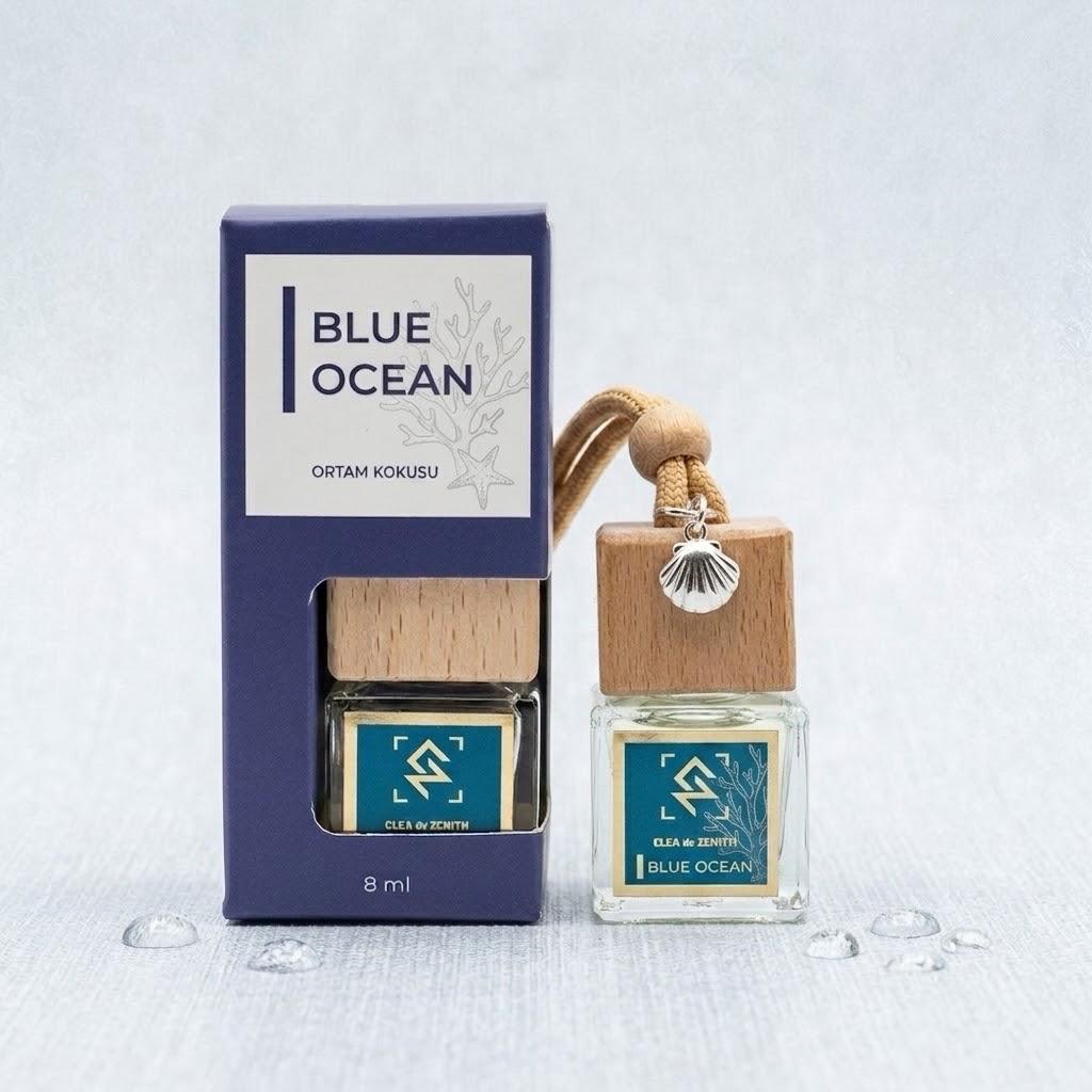 BLUE OCEAN OTO KOKUSU  görünüm 2