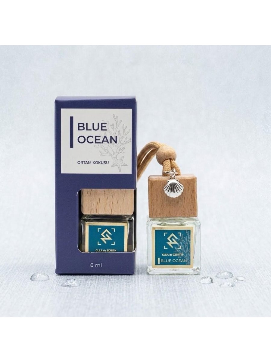 BLUE OCEAN OTO KOKUSU  görünüm 2